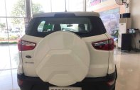 Ford EcoSport 2019 - Bán ô tô Ford EcoSport 2019, mới hoàn toàn giá 545 triệu tại Quảng Nam