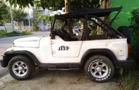 Jeep CJ 2005 - Cần bán lại xe Jeep CJ năm 2005, hai màu giá 100 triệu tại Bình Dương