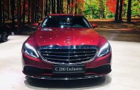 Mercedes-Benz C class C200 Exclusive  2019 - Bán Mercedes C200 Exclusive năm 2019, màu đỏ, 1 chiếc duy nhất giá 1 tỷ 640 tr tại Bắc Ninh