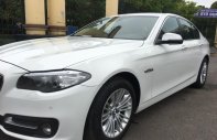 BMW 5 Series   2014 - Bán BMW 520i sản xuất 2014, màu trắng, nhập khẩu   giá 1 tỷ 320 tr tại Hà Nội