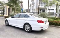 BMW 5 Series 523i 2011 - Bán BMW 5 Series 523i sản xuất năm 2011, màu trắng, xe nhập giá 845 triệu tại Hà Nội