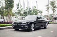 BMW 5 Series 520i 2019 - Bán ô tô hạng sang BMW 5 Series năm sản xuất 2019, màu đen, nhập khẩu giá 2 tỷ 389 tr tại Tp.HCM