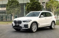 BMW X5 2019 - BMW Phú Nhuận - Bán xe chính hãng BMW X5 Xdrive 40i đời 2019, màu trắng giá 4 tỷ 299 tr tại Tp.HCM