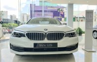 BMW 5 Series 2019 - BMW Phú Nhuận - Khuyến mại giảm giá sốc chiếc xe BMW 5 Series 520i - 2019 giá 2 tỷ 389 tr tại Tp.HCM