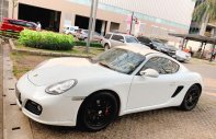 Porsche Cayman 2009 - Bán Porsche Cayman đời 2009, màu trắng, xe nhập chính hãng giá 1 tỷ 350 tr tại Tp.HCM