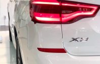 BMW X3 2019 - Bán ô tô BMW X3 2019, màu trắng, nhập khẩu nguyên chiếc giá 2 tỷ 739 tr tại Đà Nẵng