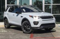 LandRover Discovery SE 2019 - Bán LandRover Discovery SE năm sản xuất 2019, màu trắng, nhập khẩu nguyên chiếc giá 2 tỷ 789 tr tại Tp.HCM