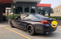 BMW 5 Series 2016 - Bán BMW 5 Series 2016, màu đen giá 1 tỷ 490 tr tại Tp.HCM