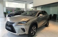 Lexus NX 2019 - Bán giảm giá cuối năm chiếc xe Lexus NX300, sản xuất 2019, màu bạc, nhập khẩu nguyên chiếc giá 2 tỷ 510 tr tại Hà Nội