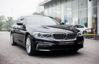 BMW 5 Series 530i 2019 - Bán xe siêu sang - Giá siêu hấp dẫn, BMW 530i đời 2019, màu đen, nhập khẩu nguyên chiếc giá 3 tỷ 69 tr tại Tp.HCM