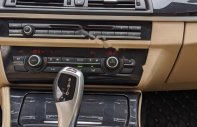 BMW 5 Series 2015 - Bán BMW 5 Series 520i năm 2015, màu trắng, xe nhập giá 1 tỷ 379 tr tại Hà Nội