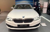 BMW 5 Series 520i 2018 - Bán ô tô BMW 5 Series 520i đời 2018, màu trắng, nhập khẩu nguyên chiếc giá 2 tỷ 159 tr tại Tp.HCM