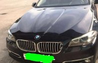 BMW 5 Series 520i 2015 - Bán BMW 5 Series 520i năm sản xuất 2015, màu đen giá 1 tỷ 195 tr tại Tp.HCM