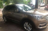 Hyundai Santa Fe 2017 - Cần bán Hyundai Santa Fe năm sản xuất 2017, xe nhập, giá 900tr giá 900 triệu tại Bình Định