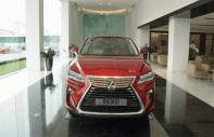 Lexus RX 300 2020 - Bán xe hạng sang - Chất lượng chính hãng: Lexus RX 300 năm sản xuất 2020, màu đỏ giá 3 tỷ 180 tr tại Hà Nội