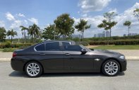 BMW 5 Series   2017 - Cần bán BMW 520i đời 2017, nhập khẩu giá 1 tỷ 580 tr tại Tp.HCM