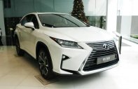 Lexus RX 2020 - Bán nhanh với gái ưu đãi - Tặng phụ kiện chính hãng khi mua chiếc Lexus RX300, sản xuất 2020 giá 3 tỷ 180 tr tại Hà Nội