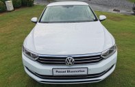 Volkswagen Passat 2019 - Bán Volkswagen Passat Bluemotion nhập Đức new 100% giá tốt nhất thị trường, tặng 100% phí trước bạ giá 1 tỷ 480 tr tại Tp.HCM