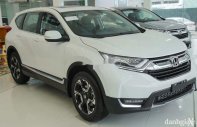 Honda CR V   2019 - Bán Honda CR V đời 2019, màu trắng, nhập khẩu, 983 triệu giá 983 triệu tại Đà Nẵng