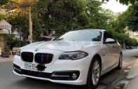 BMW 5 Series 2014 - Bán ô tô BMW 5 Series đời 2014, màu trắng giá 1 tỷ 100 tr tại Tp.HCM