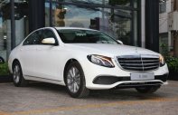 Mercedes-Benz E class E200 2019 - Bán Mercedes E200 năm sản xuất 2019, màu trắng, xe sẵn - giao ngay giá 2 tỷ 80 tr tại Tp.HCM