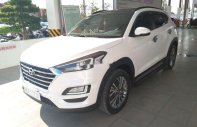 Hyundai Tucson   2019 - Bán Hyundai Tucson đời 2019, màu trắng, nhập khẩu giá 930 triệu tại Bình Thuận  