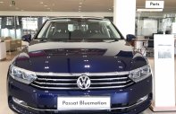Volkswagen Passat 2019 - 1 con Passat màu xanh blue, xe sedan cao cấp giá cực rẻ giá 1 tỷ 480 tr tại Tp.HCM