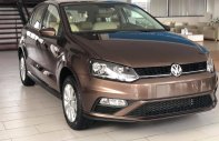 Volkswagen Polo   2019 - Bán xe Volkswagen Polo đời 2019, màu nâu, nhập khẩu chính hãng giá 695 triệu tại Quảng Ninh