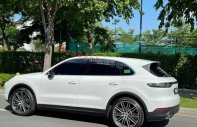 Porsche Cayenne   2019 - Bán ô tô Porsche Cayenne sản xuất 2019, màu trắng, nhập khẩu  giá 5 tỷ 925 tr tại Cần Thơ