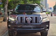 Toyota Prado   VX 2.7L  2019 - Cần bán lại xe Toyota Prado VX 2.7L đời 2019, màu đen, nhập khẩu giá 2 tỷ 250 tr tại Hà Nội