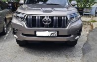 Toyota Prado 2020 - Cần bán Toyota Prado năm sản xuất 2020, màu xám, xe nhập  giá 2 tỷ 289 tr tại Hà Nội