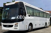 Hyundai Universe 2017 - Bán Hyundai Universe sản xuất năm 2017, màu trắng giá 1 tỷ 400 tr tại Tp.HCM