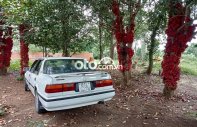 Honda Accord 1988 - Bán Honda Accord năm 1988, màu trắng giá cạnh tranh giá 43 triệu tại Gia Lai