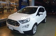 Ford EcoSport   Titanium 1.5L 2020 - Bán Ford EcoSport Titanium 1.5L đời 2020, màu trắng giá cạnh tranh giá 535 triệu tại Cà Mau