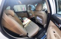 Kia Sorento   GAT 2019 - Bán Kia Sorento GAT sản xuất năm 2019, màu trắng chính chủ, giá tốt giá 780 triệu tại Hà Nội