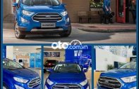 Ford EcoSport 2021 - Cần bán xe Ford EcoSport đời 2021, màu xanh lam giá 586 triệu tại An Giang