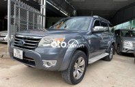 Ford Everest  Limited 2009 - Cần bán Ford Everest Limited năm 2009, màu xám số tự động giá 395 triệu tại Bình Phước