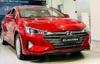 Hyundai Elantra 1.6 MT 2021 - Hyundai Elantra 1.6 MT có xe giao ngay, hỗ trợ vay 85%, tặng 100% trước bạ, tặng BHVC giá 530 triệu tại Tiền Giang