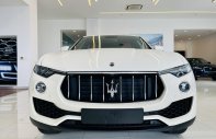 Bán Maserati Levante 3.0L đời 2019 màu trắng, xanh, xám, đỏ, xanh, đen giá tốt vay ngân hàng giá 4 tỷ 915 tr tại Tp.HCM