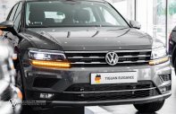 [Volkswagen Phan Thiết ] Tiguan Elegance màu xám, giảm ngay trước bạ, tặng gói phụ kiện giá 1 tỷ 699 tr tại Bình Thuận  