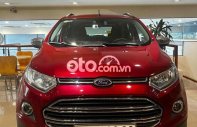 Ford EcoSport   Titanium  2016 - Bán Ford EcoSport Titanium năm 2016, màu đỏ, 445 triệu giá 445 triệu tại Tp.HCM