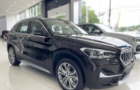 BMW X1 2022 - Giá tốt nhất thị trường, ưu đãi khủng giá 1 tỷ 859 tr tại Hải Phòng