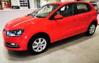 Volkswagen Polo 2019 - Cần bán xe Volkswagen Polo đời 2019, màu đỏ, nhập khẩu nguyên chiếc giá 529 triệu tại Tp.HCM