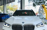 BMW X5 2022 - BMW X5 2022, xe siêu đẹp, nhập khẩu nguyên chiếc, giá tốt nhất thị trường giá 4 tỷ 479 tr tại Hải Phòng