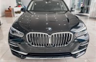 BMW X5 2022 - BMW X5 xDrive 40i xLine Plus năm 2022 màu đen, giảm ngay 20 triệu tiền mặt giá 4 tỷ 239 tr tại Hải Phòng