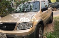 Ford Escape 2004 - Cần bán gấp Ford Escape năm 2004, màu vàng chính chủ giá 175 triệu tại Lâm Đồng