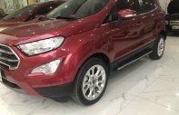 Ford EcoSport 2018 - Bán xe chính chủ giá tốt giá 522 triệu tại Hà Nam