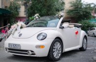 Volkswagen New Beetle 2004 - Màu kem (be), nhập khẩu, giá 430tr giá 430 triệu tại Đồng Nai