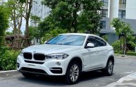 BMW X6 2017 - Màu trắng, nhập khẩu nguyên chiếc giá 2 tỷ 450 tr tại Hà Nội