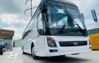 Hyundai Universe 2019 - Bán xe linh kiện nhập khẩu - Hyundai Thành Công, giá 3 tỷ 200tr giá 2 tỷ 999 tr tại Tp.HCM